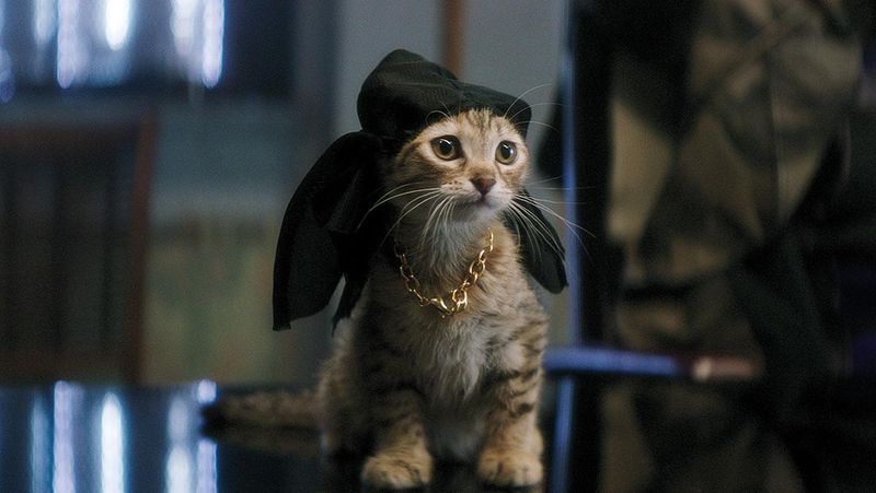 Keanu from Keanu (2016)