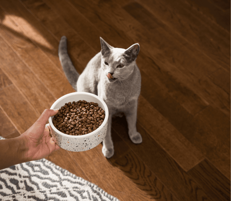 Kibble That Cares