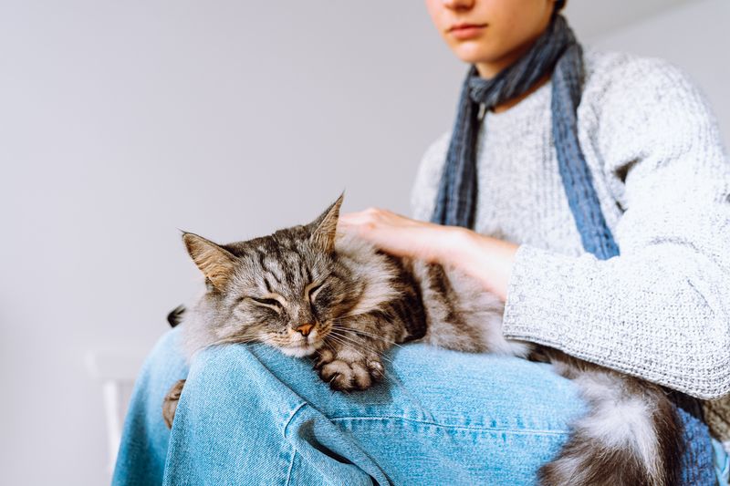 Lap Sitting