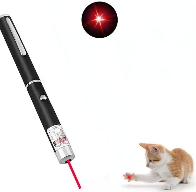 Laser Pointer Toy