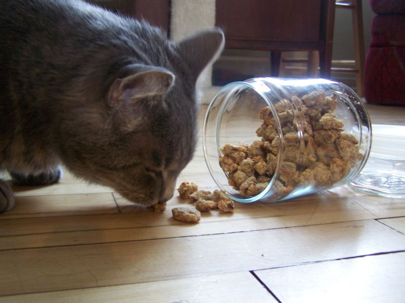 Mackerel Munchies