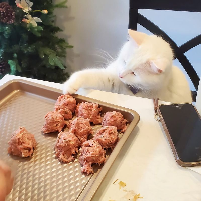 Mini Meatball Medleys