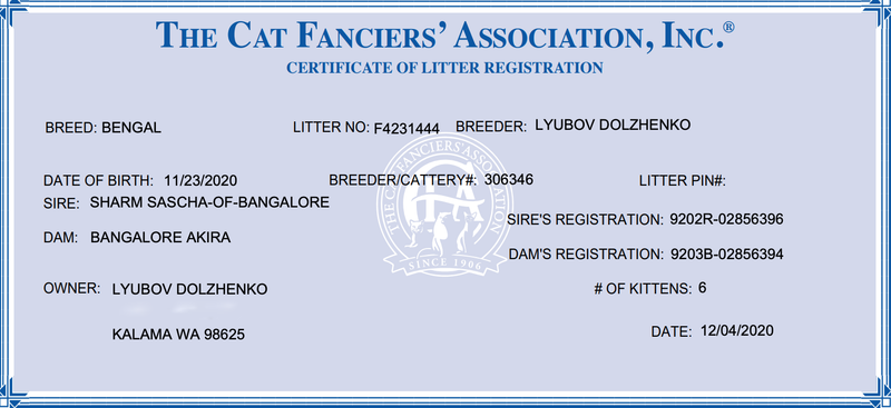 No Pedigree or Registration Papers