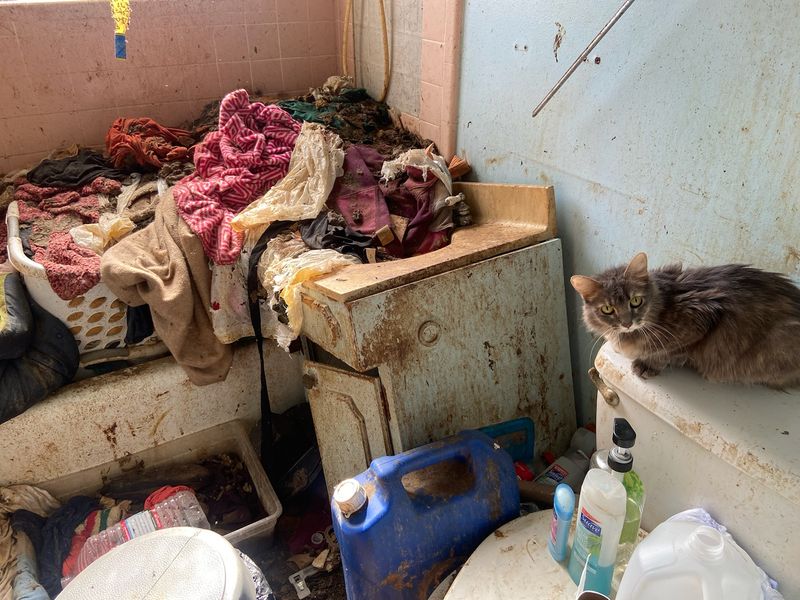 Noticeable Decline in Home Hygiene and Cleanliness