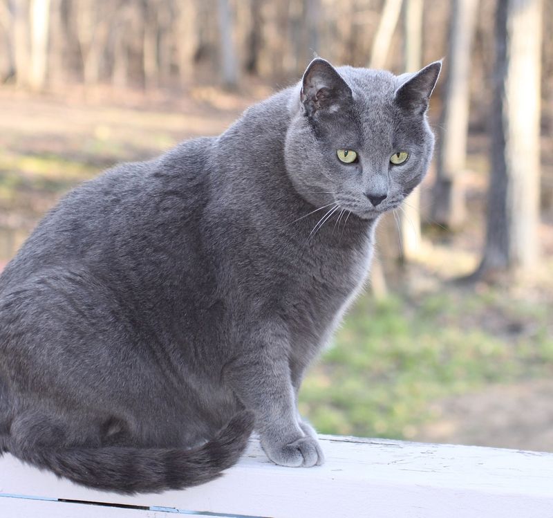 Noticeable Weight Changes