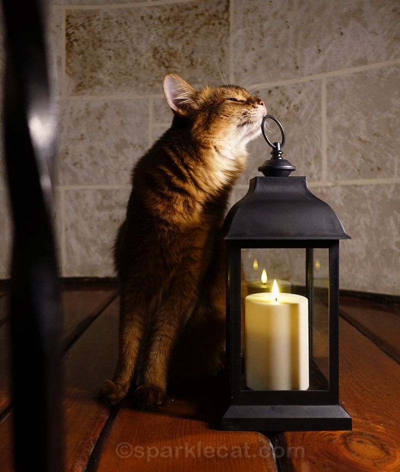 Opt for Flame-Safe Toys