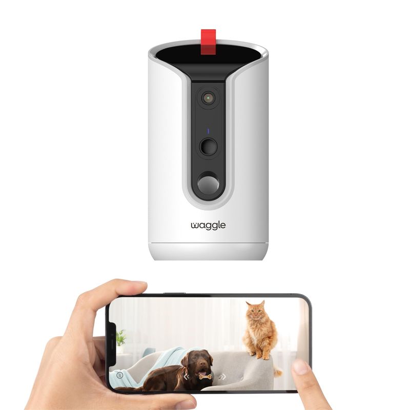 Pet Camera