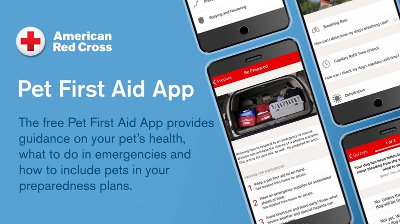 Pet First Aid (American Red Cross)