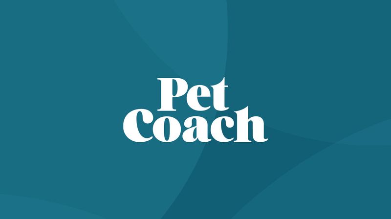 PetCoach