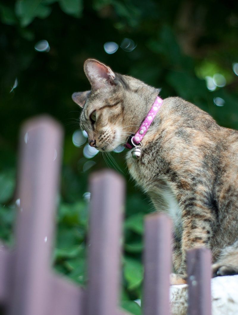 Potential Hazards – Snagging, Choking, or Irritation