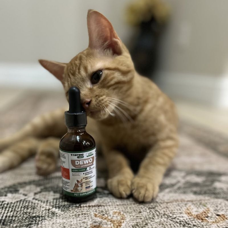 Probiotic Purrfection