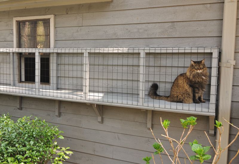 Provide Safe Outdoor Alternatives