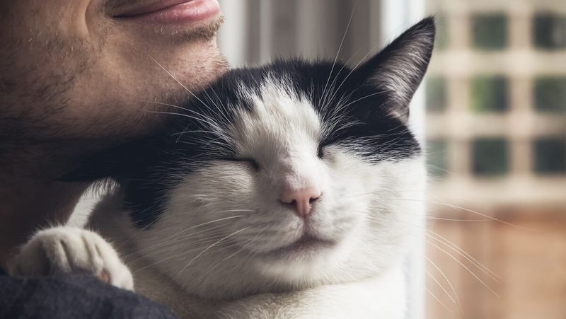 Reduce Stress & Boost Happiness