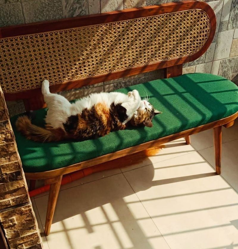 Safe Sunbathing Spots