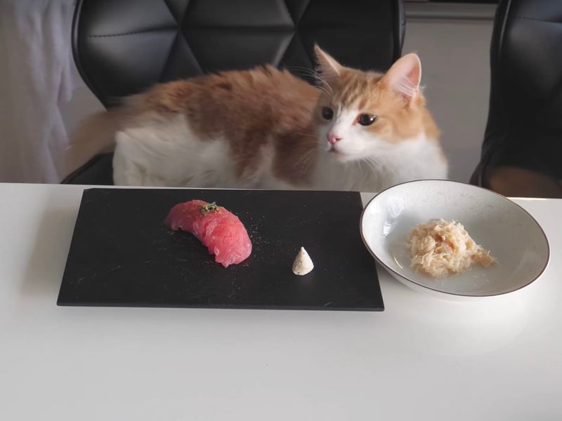 Salmon “Sushi” Rolls