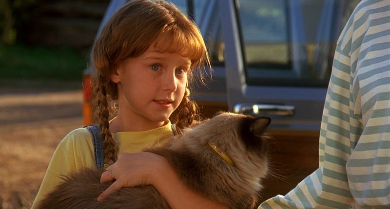 Sassy from Homeward Bound: The Incredible Journey (1993)