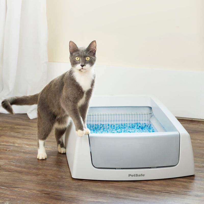 Save Time with a Self-Cleaning Litter Box