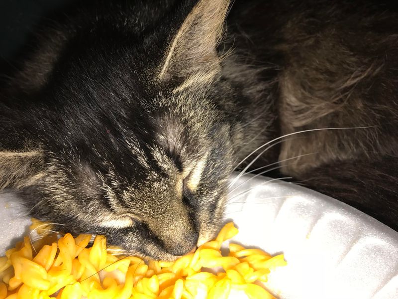 Schedule a Final Meal Before You Sleep