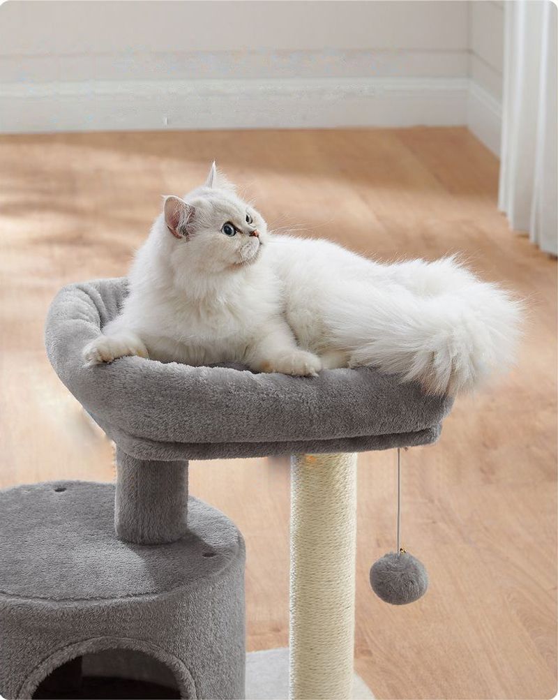 Scratching Post with Low Base