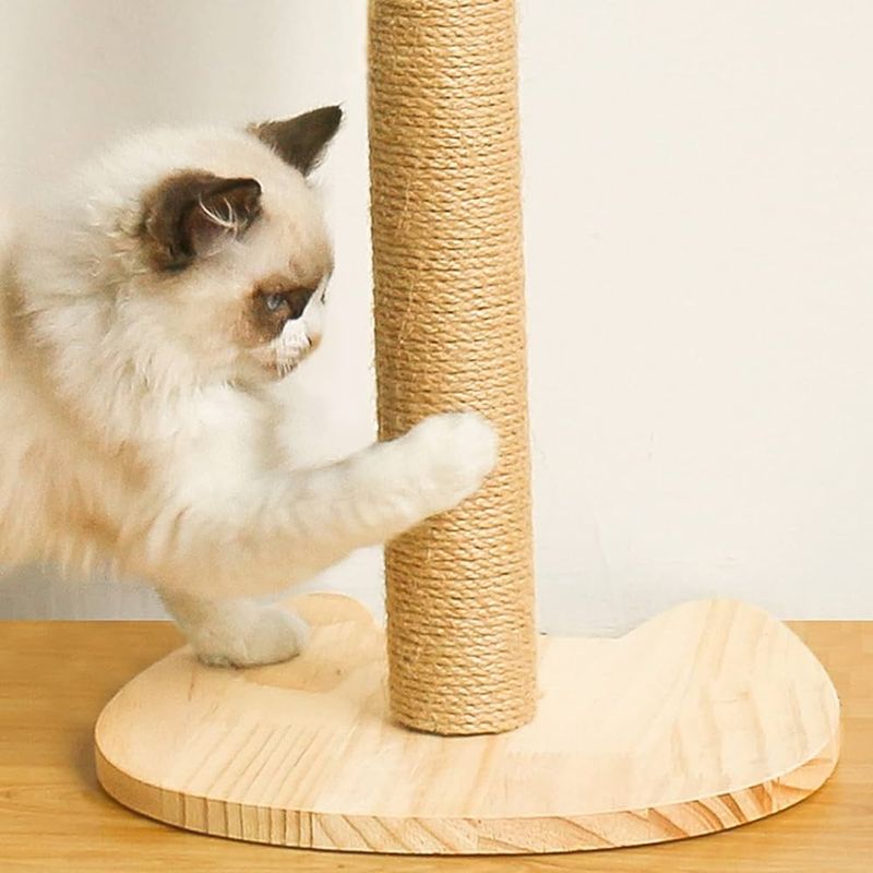 Scratching Posts