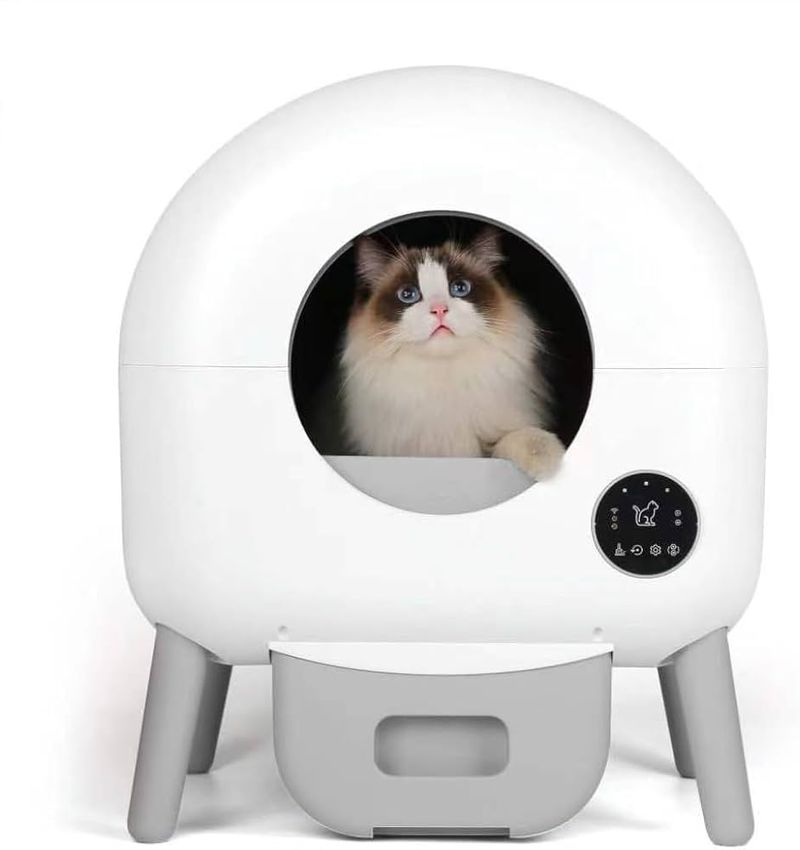 Self-Cleaning Litter Box