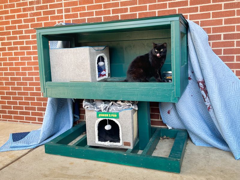 Set Up Feeding Stations