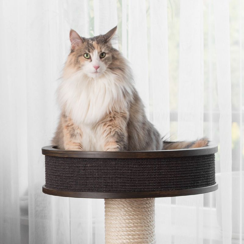 Sisal Scratching Post