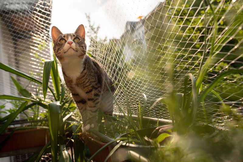 Supervised Outdoor Time