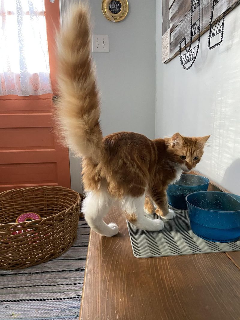 Tail-Tale Trimming