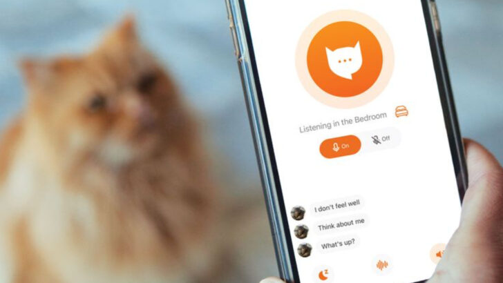 Tech-Savvy Cat Parenting: 12 Apps for Superior Cat Care