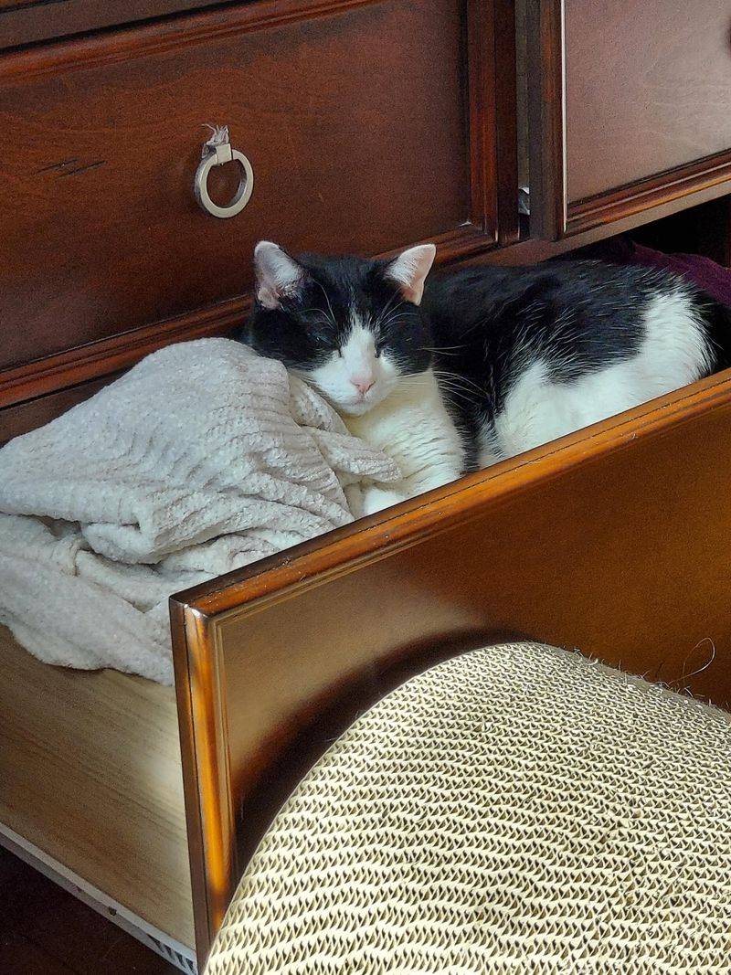 They Open Doors and Drawers