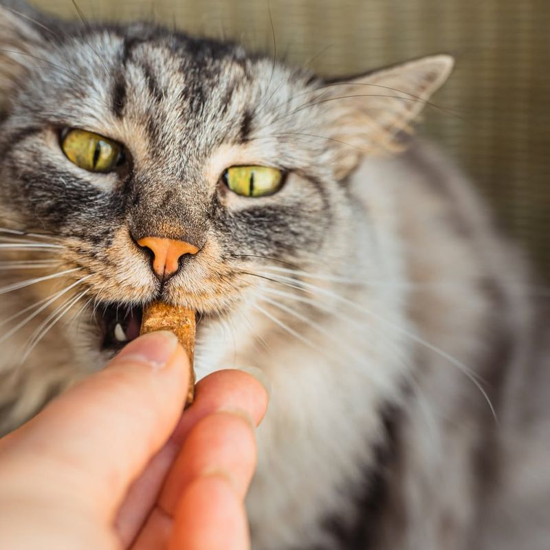 Tuna-licious Catnip Bites