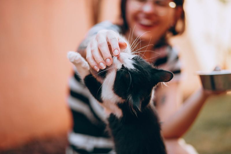 Unsolicited Nose Nuzzles