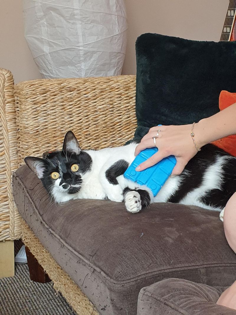 Use Cooling Mats or Ice Packs