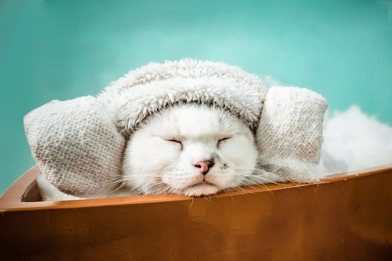 Use Damp Towels for Cooling
