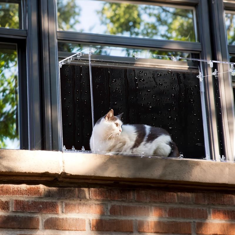 Window Watchers