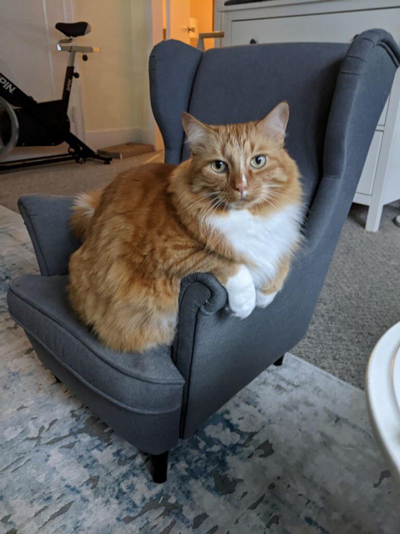 You want the chair? Sorry, I was already here.