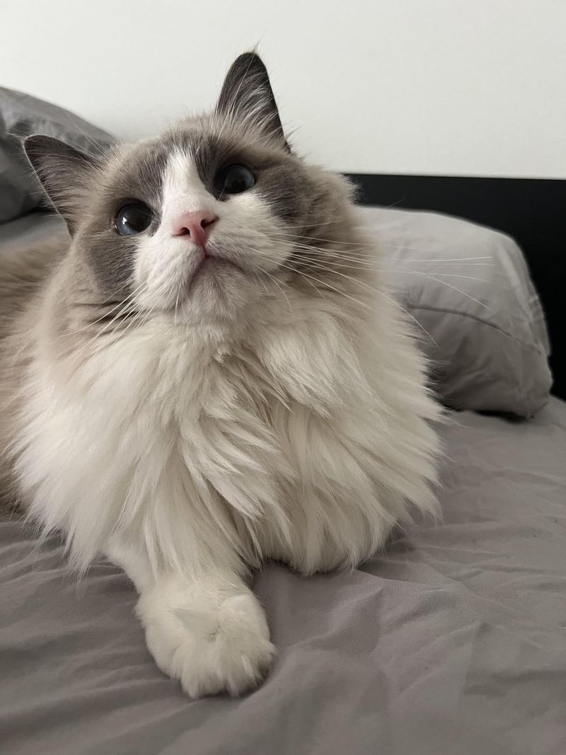 Being a Human Alarm Clock
