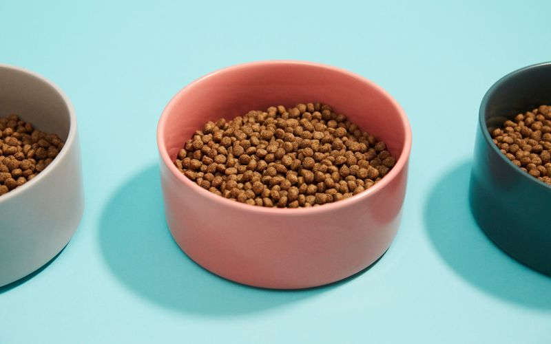 Insects Are Surprisingly Nutritious