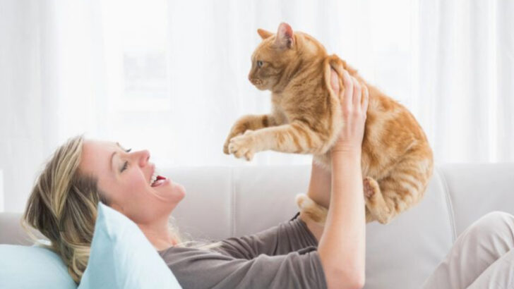13 Things New Cat Parents Always Get Wrong