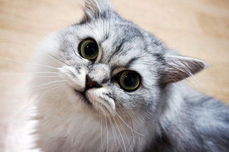 3. You’re Allergic, and Hoping It’ll Just Go Away