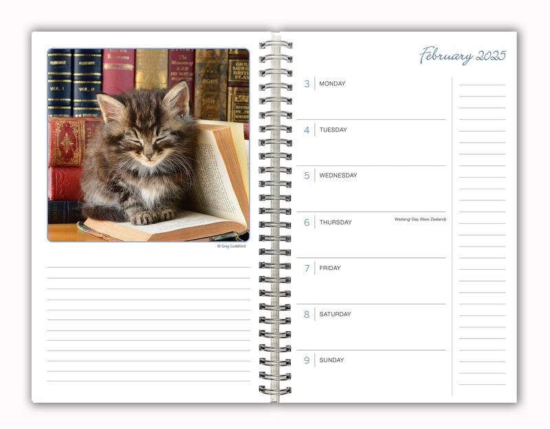 5. Cat Calendar