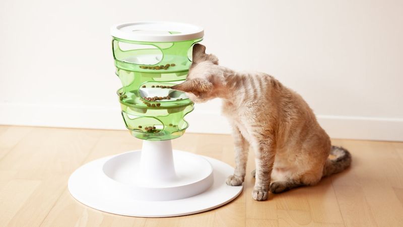 Interactive Puzzle Feeders