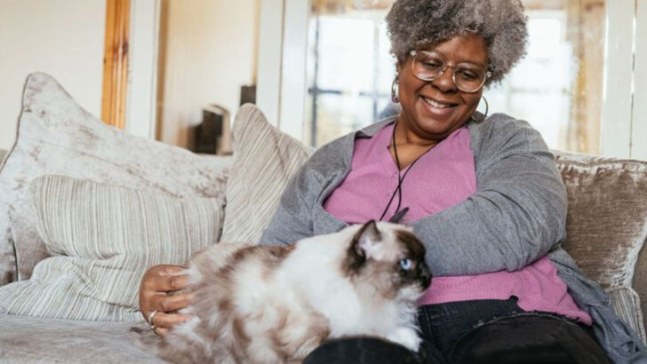 6 Mental & 6 Physical Benefits of Having a Cat