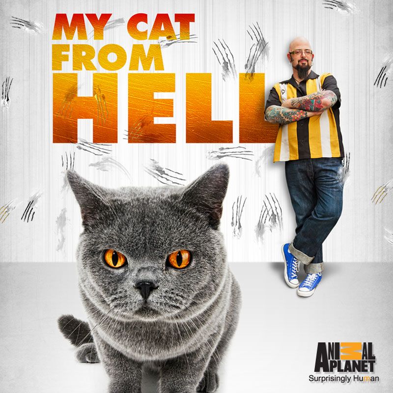 My Cat from Hell