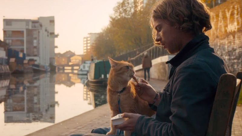 A Street Cat Named Bob (2016)
