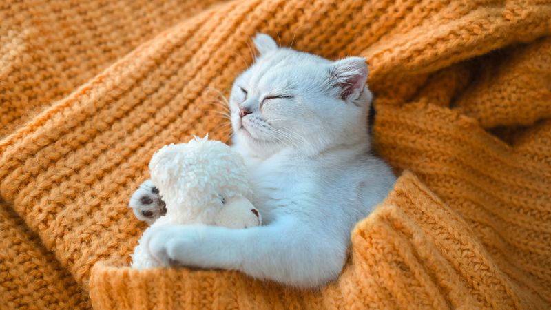 Create a Calming Bedtime Routine