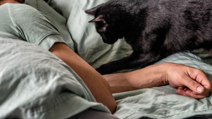 7 Nighttime Habits That Let You and Your Cat Bond More Deeply