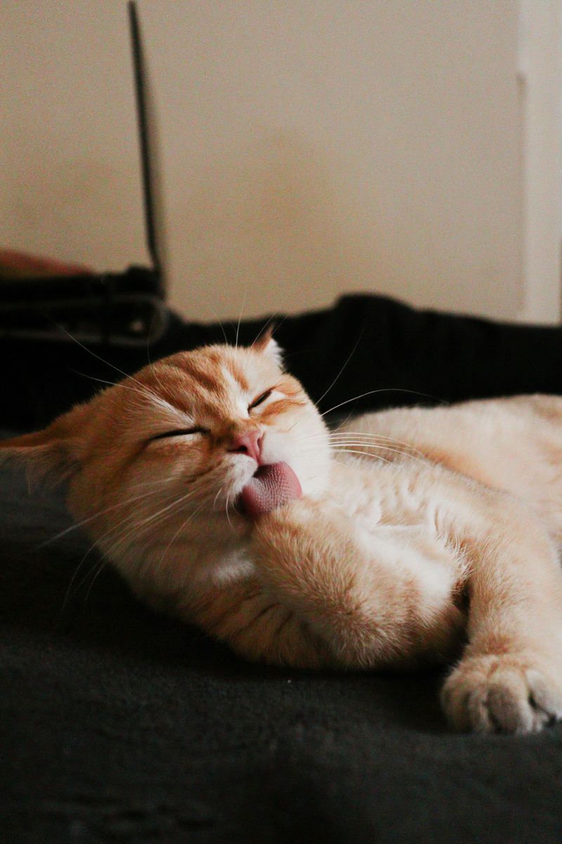 Constant Grooming