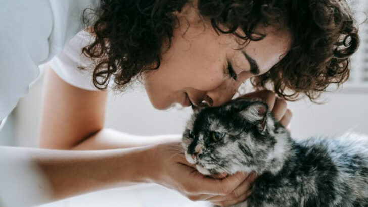 7 Reasons Your Cat Smells So Good—Even With Tuna Breath